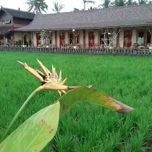 Rice Padi Artha Maison d'hôtes Ubud